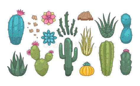 Cactus Y Plantas Suculentas Iconos Vectoriales En El Estilo De Las