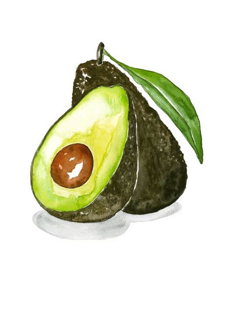 Avocado Watercolor Illustration Art Print Vegetable Kitchen Etsy