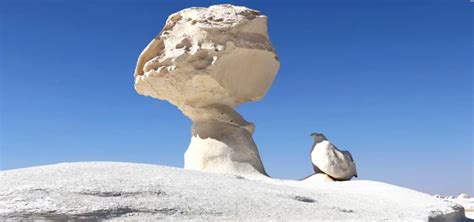 White Desert And Bahariya Oasis Overnight Safari Tour