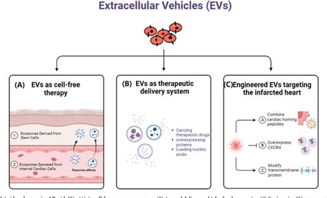 Table 1 From Biomimetic Nanomaterials In Myocardial Infarction Treatment Harnessing Bionic