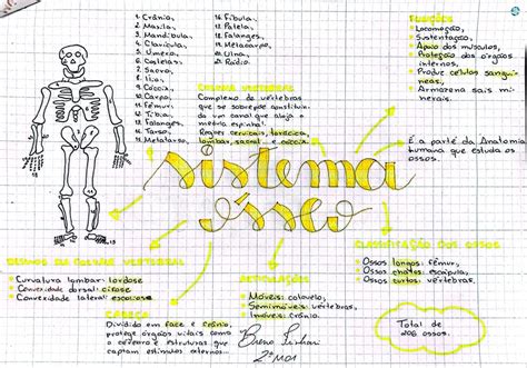 Mapa mental Sistema ósseo Sistema esquelético e muscular Sistema