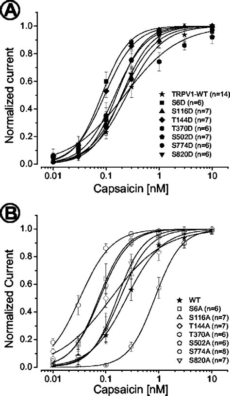 Concentration Dependence Of Capsaicin Responses In Trpv1 Wt And Mutant