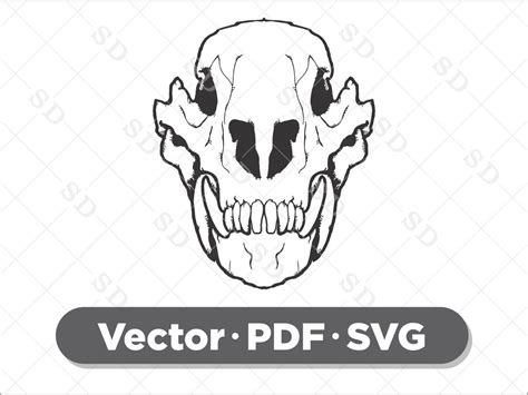 Bear Skull Vector Etsy