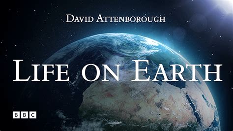 Watch Attenborough Life In The Undergrowth Prime Video