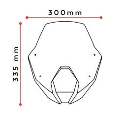 Cupolino Puig Naked Per BMW R1250 R Colore Fume Chiaro