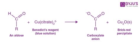 Tests Of Carbohydrates Chemistry Practicals Class 12