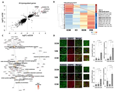 Differential Gene Expression In Immune Checkpoint Inhibitor Associated