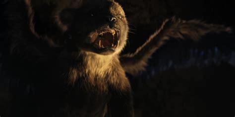 Adult Chupacabra From Chupa Yo Leave My Cub Alone Rchupacabra