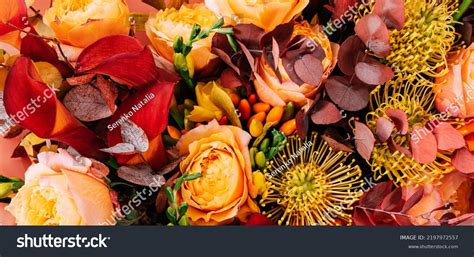 Closeup Fall Flowers Images Stock Photos Vectors Shutterstock