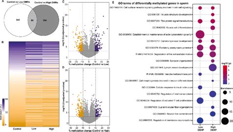 Regional Methylation Pattern In Sperm Associated With Low And High Dehp