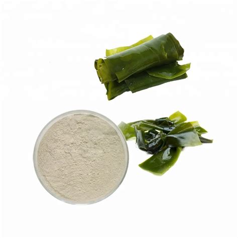 20 40 98 Seaweed Kelp Extractlaminaria Japonica Extract Fucoidan