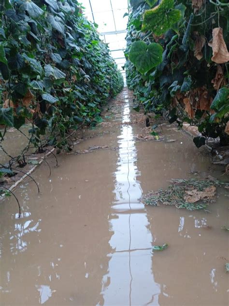 Tristeza y resignación entre los agricultores y ganaderos de la zona