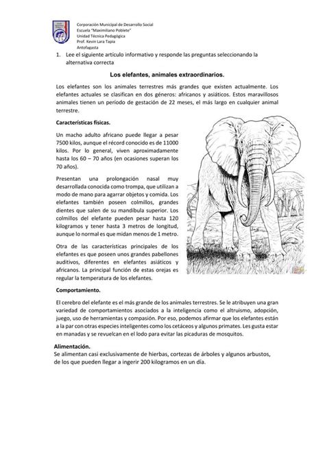 Articulo Informativo El Elefante Worksheet Cuadro De Texto Articulos