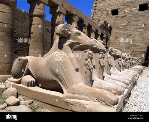 Egypt Luxor 07262010 Small Alley Of The Ram Headed Sphinxes In