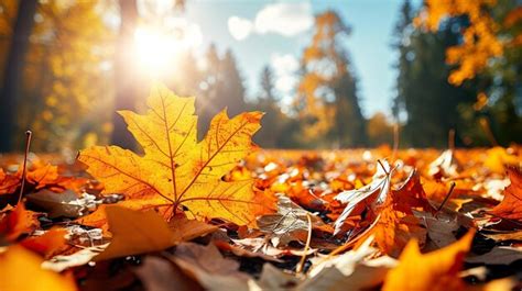 Premium Photo | Autumn foliage background HD 8K wallpaper Stock ...