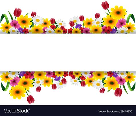 Tropical Flowers Banner Royalty Free Vector Image