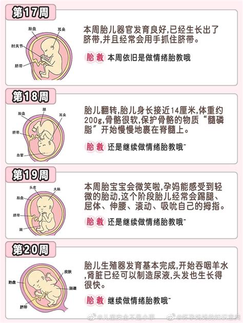 1 40周胎儿发育过程上 胎教 新浪新闻