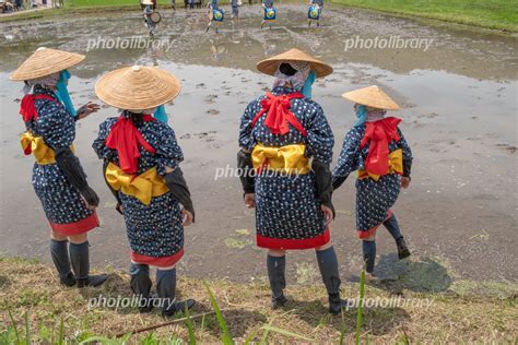 広島県安芸高田市の大土山の花田植えの早乙女 写真素材 [ 5798264 ] フォトライブラリー Photolibrary