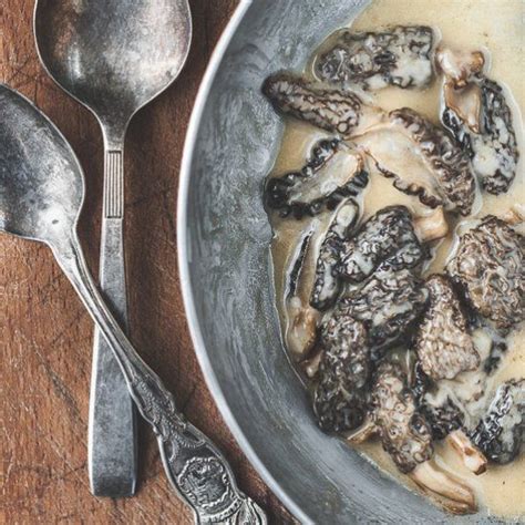 Indulgent Morel Cream Sauce | Mushroom sauce recipe, Recipes, Mushroom ...