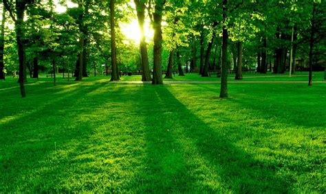 Background Natural Photos Hd - Free Hd Wallpaper 4K II