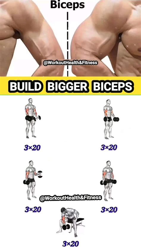 Bicep Workout For Bigger Arms Build Bicep Peak With These Dumbbell