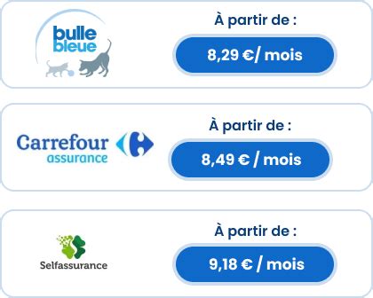 Quelle Est La Meilleure Assurance Chien De Chasse Comparatif