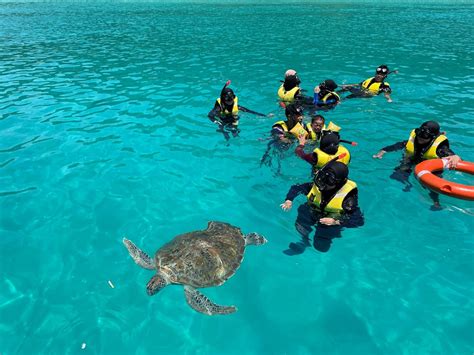 Pakej Percutian Pulau Redang 3h2m 2024 3 Star Seaview