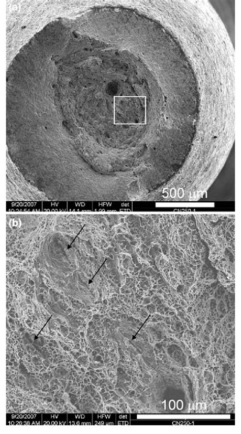 Sem Fractographs Of The Fracture Surface Of The C Tempered Tensile