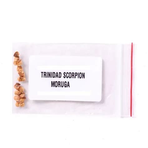 Sementes De Pimenta Vermelha Trinidad Scorpion Unidades Mercadolivre