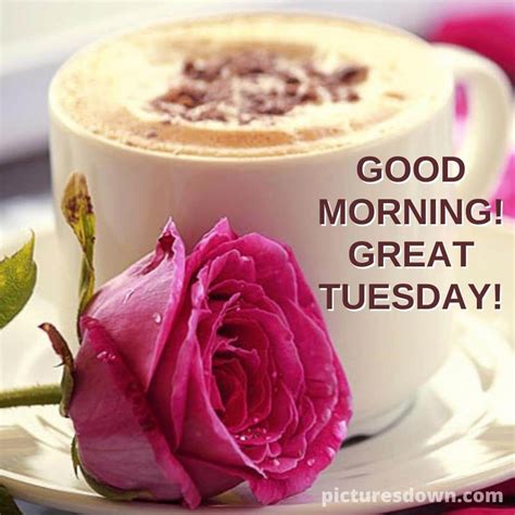 Good Morning Tuesday Coffee Image Flower Picturesdown