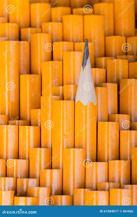 One Sharpened Pencil Among Many Blunt Stock Image Image Of Single