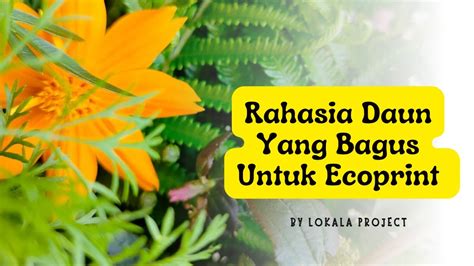 Rahasia Jenis Daun Yang Bagus Untuk Ecoprint Youtube