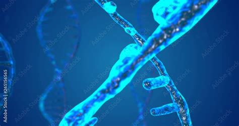 Vid O Stock Abstract Glittering Dna Double Helix With Depth Of Field