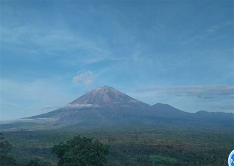 Gunung Semeru Tiga Kali Erupsi Keluarkan Abu Vulkanik Status Masih