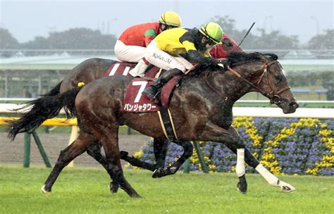 【京王杯2歳s】雨馬場で外から伸びたパンジャタワーが重賞初制覇 松山弘平騎手「まだまだ良くなる」 Umatoku 馬トク