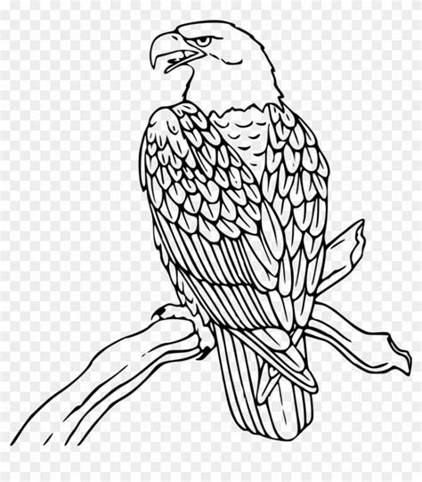 Free Clip Art Pictures Of Eagles Clipart Library Clip Art Library