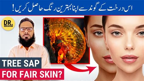 Full Skin Body Whitening With Tree Sap Darakhat Ki Gond Rang Gora