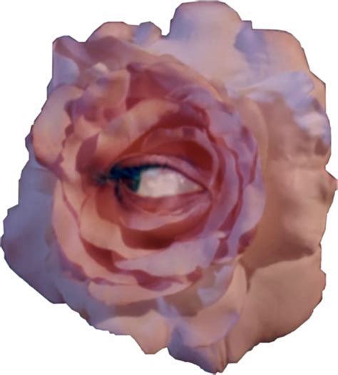 Weirdcore Eye Flower Flower Art Susie Cave Cottagecore Posters