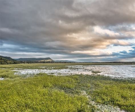 Landscape of a Marsh and Hills in the Background · Free Stock Photo