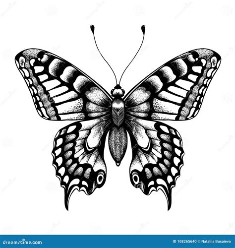 Silhouette of Butterfly. Tattoo Butterfly Stock Vector - Illustration ...