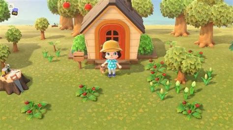 12 Best Games Like Animal Crossing Gamerbolt