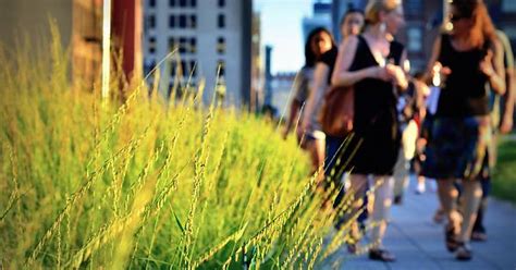 Views From The Highline Park Nyc Album On Imgur