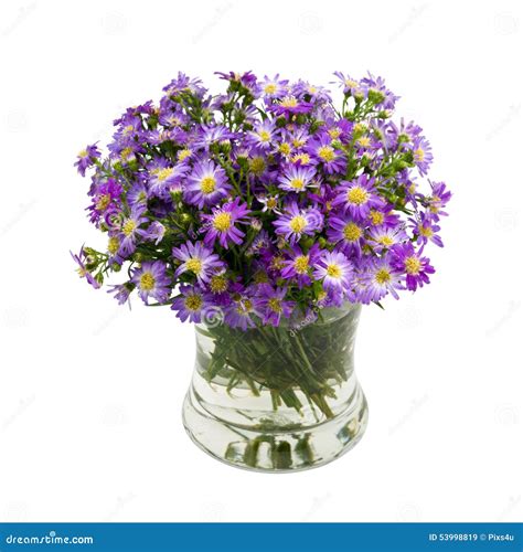 Margarida Roxa Do Ramalhete No Vaso Imagem De Stock Imagem De Beleza