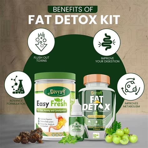 Buy Divya Shree Fat Detox Capsule Easy Fresh Powder And Punch Tulsi Drop Gas Combo Kit Online At