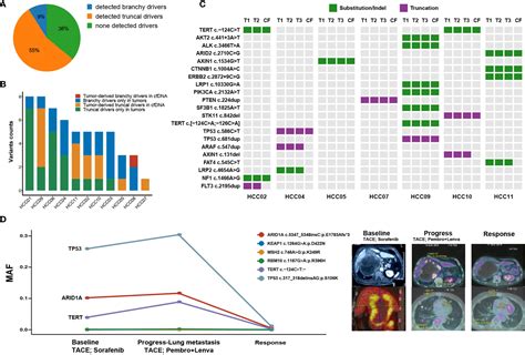 Frontiers Targeted Next Generation Sequencing Combined With