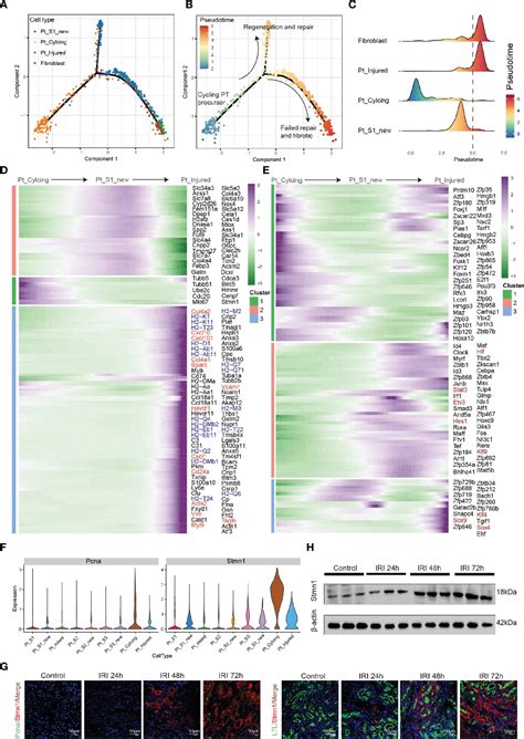 Figure 6 From Single Cell Dissection Of Epithelial Immune Cellular