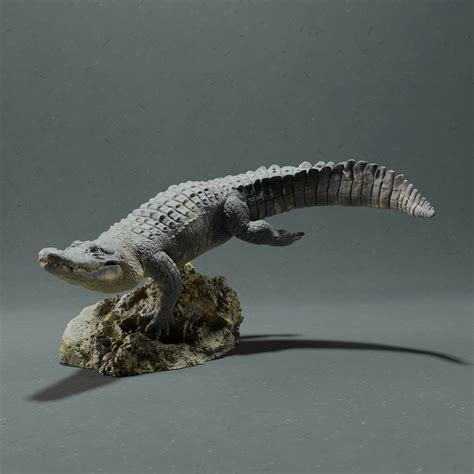 STL file American Alligator - Swim・3D printing template to download・Cults