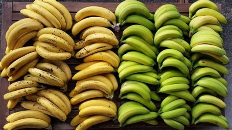 Cu Les Son Las Diferencias Entre Un Pl Tano Y Una Banana Descubre Lo