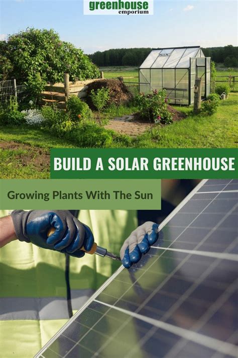 Build A Solar Greenhouse: Growing Plants With The Sun