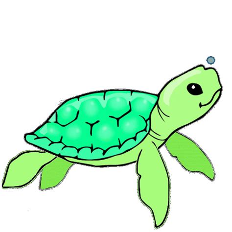 Excited Turtle 